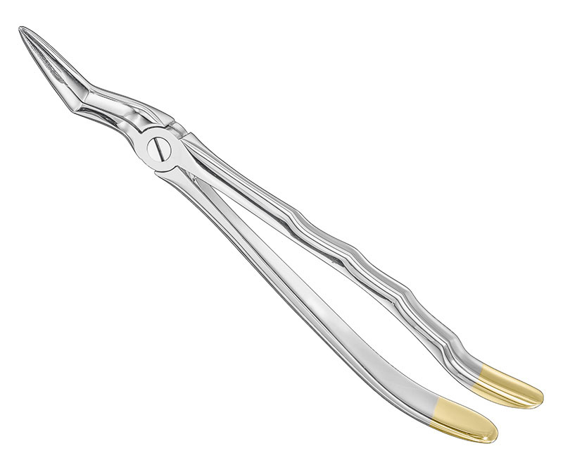 Extracting forceps, anat.