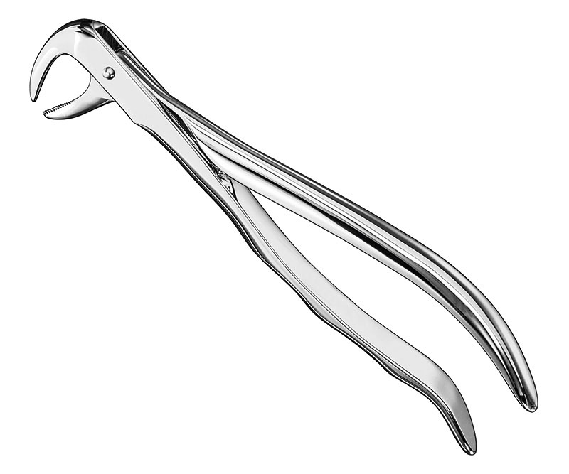 Extracting forceps, anat.
