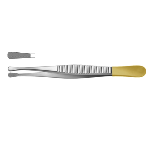 Wangensteen Dressing Forcep